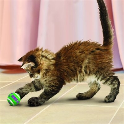 Kong Kat Tennisballen Met Bellen 4X4X4 CM 3 ST