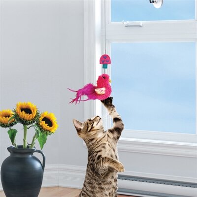 Kong Cat Connects Kattenhengel Raam Assorti 8,5X4X33 CM