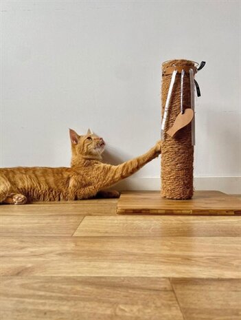 Martin Kattenspeelgoed Leana Kicker Met Catnip Gerecycled Assorti 45X6,5X2 CM