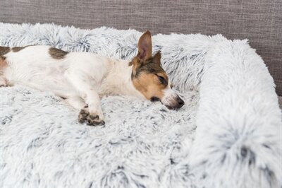TRIXIE SOFA BED HARVEY MEUBELBESCHERMER HOEKIG WIT / ZWART