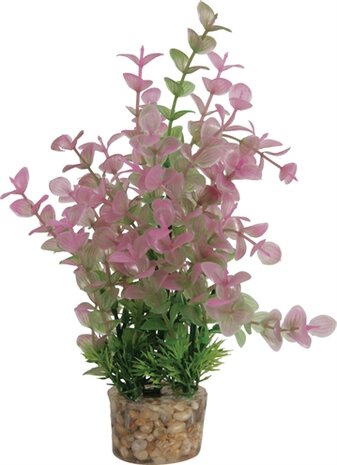 ZOLUX ORNAMENT PASTIC PLANT OP STENEN VROLIJK ASSORTI