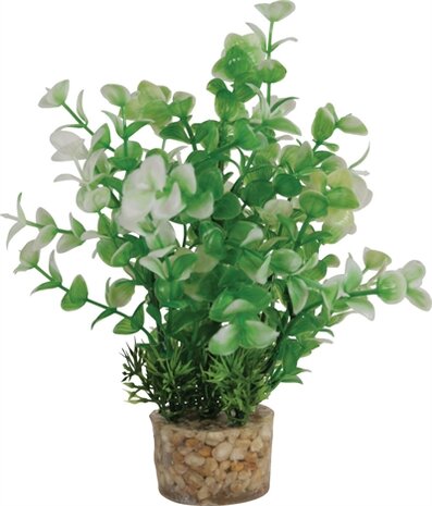 ZOLUX ORNAMENT PASTIC PLANT OP STENEN VROLIJK ASSORTI