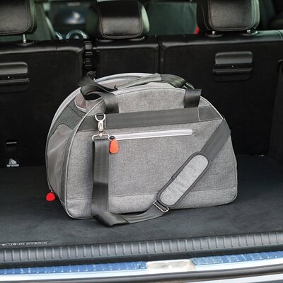 KONG HONDENTAS 2-IN-1 MET LIGMAT
