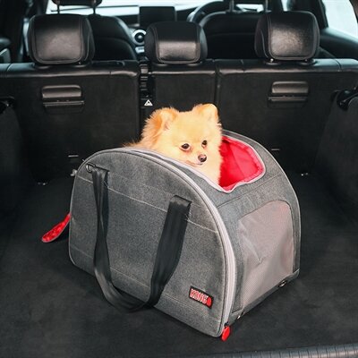 KONG HONDENTAS 2-IN-1 MET LIGMAT
