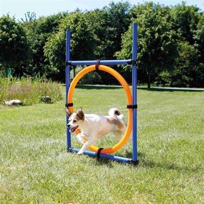 TRIXIE DOG ACTIVITY AGILITY RING BLAUW / ORANJE