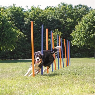 TRIXIE DOG ACTIVITY AGILITY SLALOM STOKKEN BLAUW / ORANJE