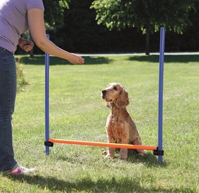 TRIXIE DOG ACTIVITY AGILITY HORDE BLAUW / ORANJE