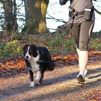 TRIXIE HEUPRIEM MET JOGGINGLIJN ZWART