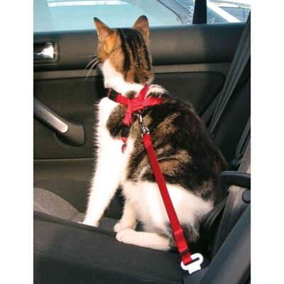 TRIXIE KATTENTUIG VOOR IN DE AUTO ROOD