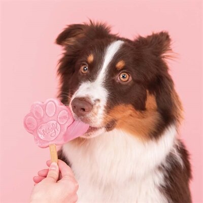 SMOOFL IJSMIX VOOR HONDEN WATERMELOEN