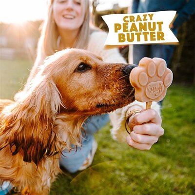 SMOOFL IJSMIX VOOR HONDEN PINDAKAAS