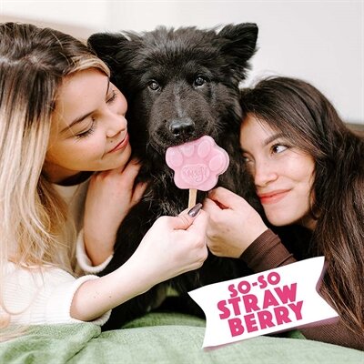 SMOOFL IJSMIX VOOR HONDEN AARDBEI
