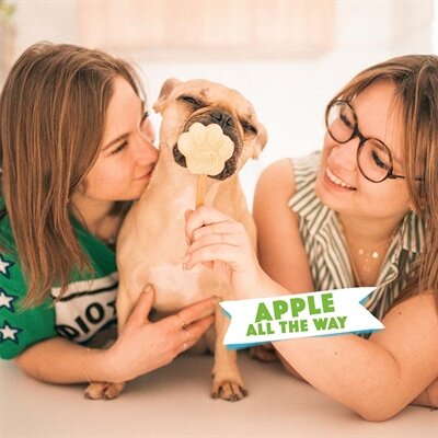 SMOOFL IJSMIX VOOR HONDEN APPEL