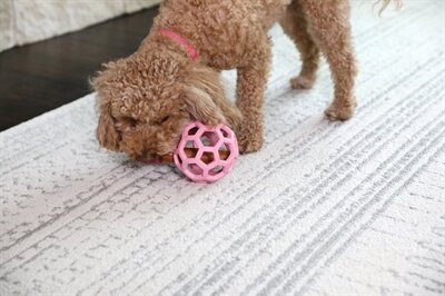 JW HOL-EE ROLLER TREND-EE ROZE