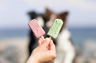 TRIXIE ICE POP GROEN
