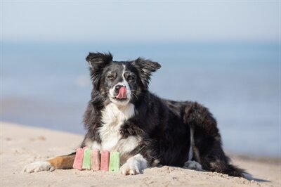 TRIXIE ICE POP GROEN