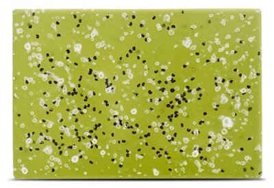 BELOVED BUGFREE PET SHAMPOO BAR