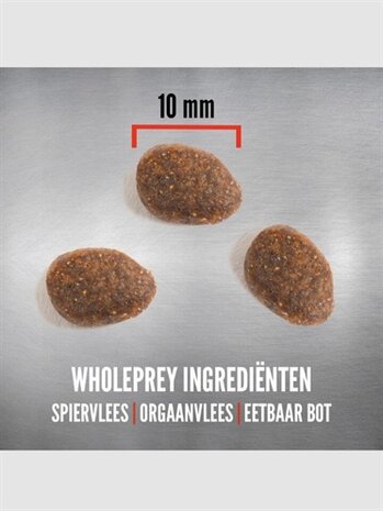 ORIJEN WHOLE PREY TUNDRA CAT