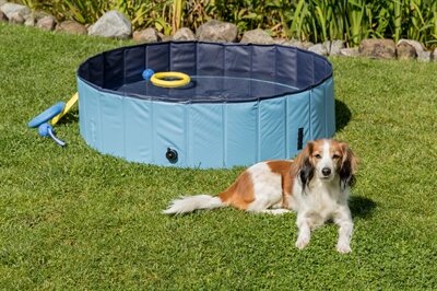 TRIXIE HONDENZWEMBAD LICHTBLAUW / BLAUW