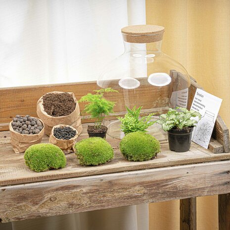 Terrarium Diy Kit - Fat Joe Green - Bottle Garden - ↑ 30 Cm Yes