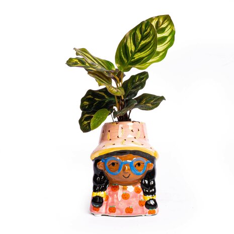 Mini Flower Pot Multi Color – Mini Jill - ↑ 10.2 Cm - Face Head Yes