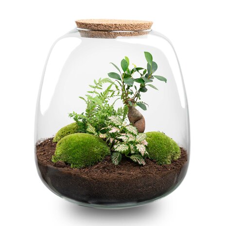 Terrarium Diy Kit - Emma - Diy Kit - ↑ 25 Cm - Ø 23 Cm Yes Bonsai Pink
