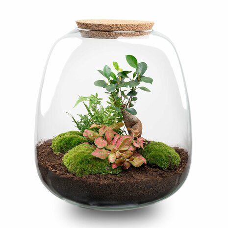 Terrarium Diy Kit - Emma - Diy Kit - ↑ 25 Cm - Ø 23 Cm No Bonsai Pink