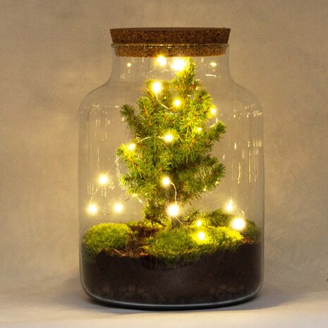 Battery-Operated String Lights - 1 Meter - Warm White - 20 Led Lights